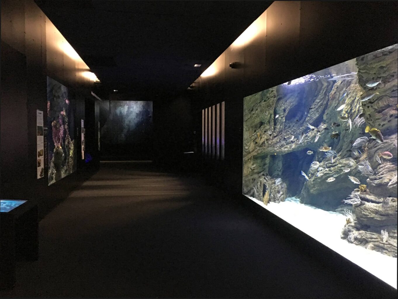 biodiversarium aquarium et laboratoire de recherche banyuls sur mer 66 5