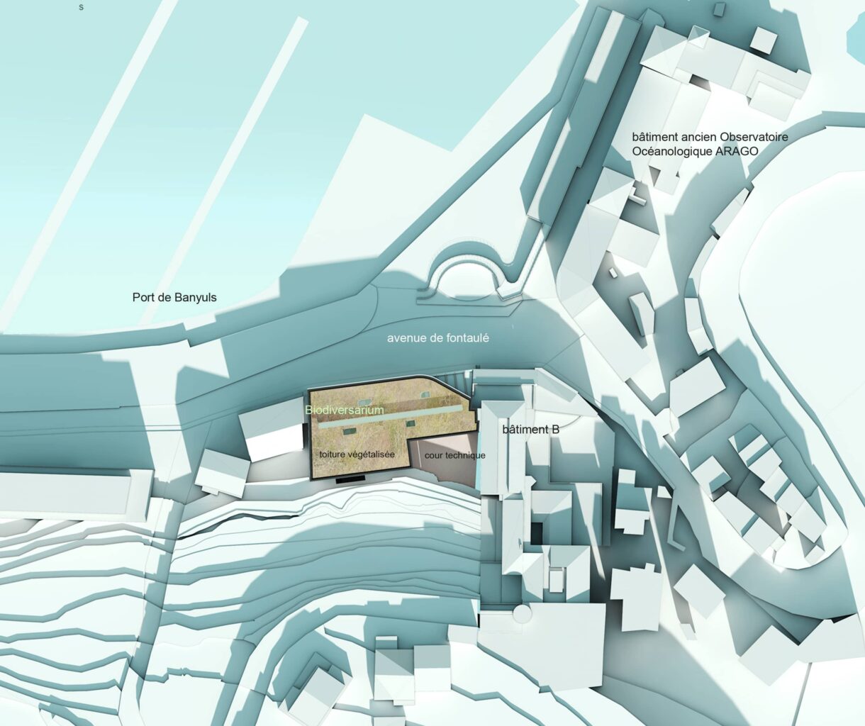 biodiversarium aquarium et laboratoire de recherche banyuls sur mer 66 plan de masse